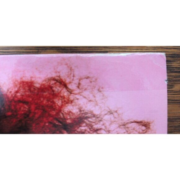 DIANA ROSS - Ross Vinyl LP R&B Pop RCA AFL1-4677 1983 - Picture 7 of 10